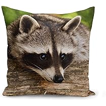 Kleckerliese Kissenhülle 40x40cm Indianer Motiv - Bär Design In Creme