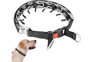QBEJIME Metal Anti Bark Collar For Dog, Choke Chain For Dogs,Training Collar, With Detachable Lead Adjustable Anti Bark Collars For Pet Outdoor Training Stainless Steel Fork Collar (L)