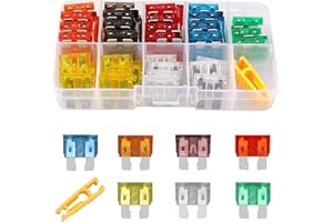 HOINY Car Fuse Kit - 60PCS Assorted Blade Fuses (5A-30A) With Storage Case and Fuse Clip