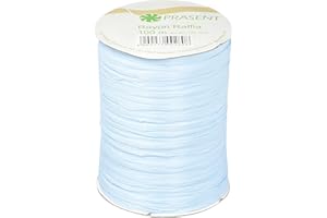 C.E. Pattberg Präsent - Rayon Raffia Biodegradable Ribbon Light Blue 100 meter spool