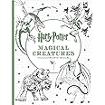 Harry Potter Magical Creatures Colouring Book