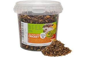 UGF UNDERGROUND FOOD UGF - Grillons séchés (Petits) - 80 g en Pot de 500 ML, Insectes, Nourriture pour Oiseaux Sauvages (Toute l'année), Tortues, hérissons, lézards, Poissons