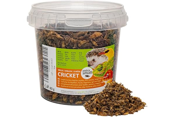 UGF - Grillons séchés (Petits) - 80 g en Pot de 500 ML, Insectes, Nourriture pour Oiseaux Sauvages (Toute l'année), Tortues, hérissons, lézards, Poissons