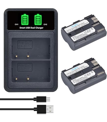 Batterie pour APC Back UPS Pro BR 900 remplace APCRBC164