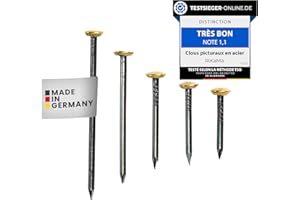 RIKAMA ONLINEVERSAND AUS EINER HAND RIKAMA® Lot de 50 clous en mélange de 10 x 20 mm, 25 mm, 30 mm, 40 mm, 50 mm – Clous en acier avec tête en laiton de 6 mm pour accrocher sur le, la brique, le plâtre et le bois – Fabriqué en Allemagne