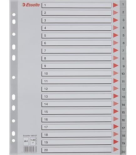 Leitz Plastic A4 Index Tabs - 12 Tab Set