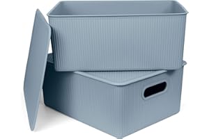 PRACTICDOMUS Pack de 2 Cestas de Ordenación Multiusos Baobab, Resistentes y Ergonómicas. Incluye 2 Tapas. Tamaño L 15L. Color Azul Mist