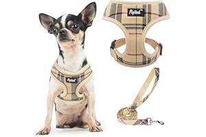 PUPTECK Dog Harness Small Dog Soft Mesh Pet Puppy Cat Comfort Padded Vest No Pull Harnesses and Leash Set