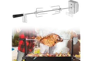 LARS360 Set di spiedo da 107 cm, in acciaio inox per barbecue a gas, con motore 220-240 V