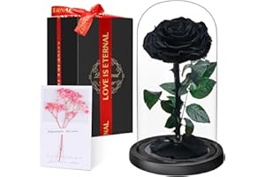 TOULOUBE Rosa Eterna en Cúpula de Cristal, Rosa Bella y Bestia, Flores Naturale Preservada, Ideas Rosas Regalos para Día de la Madre, Día de San Valentín, Aniversario,Navidad, Mujer, Mamá, Novia, Abuela