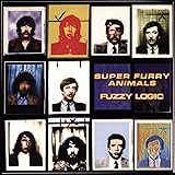 Fuzzy Logic (20th Anniversary Deluxe Edition) [VINYL]