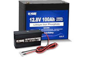 DCHOUSE 12 V 100 Ah LiFePO4 bateria litowa z ładowarką 20 A, 10 lat żywotności do 15 000 cykli, maks. 1280 Wh akumulator LiFePO4, idealny do samochodów kempingowych, silników solarnych