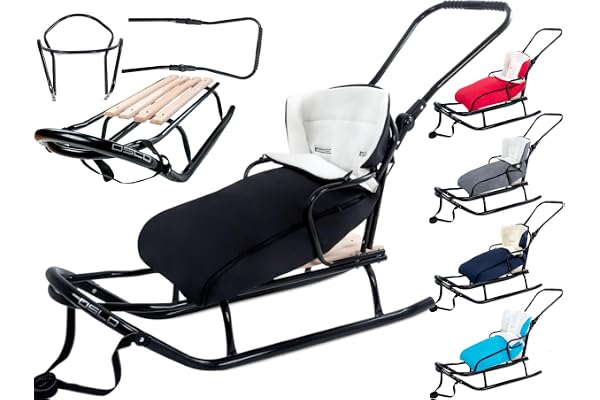 GagaDumi Oslo släde av metall med ryggstöd med säkerhetsbälten, push bar och fotpåse, babysläde, idealisk för barn och vuxna, laster upp till 120 kg