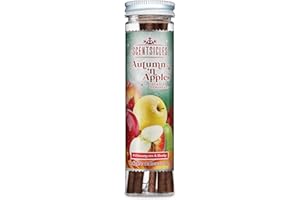 Scentsicles Adornos colgantes perfumados Autumn n Apples, 6 palos de papel marrón con ganchos para otoño y Navidad