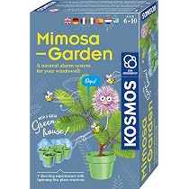 Kosmos 658250 Set Esperimento Cactus Del Deserto - Coltiva Piante Grasse Con Mini Serra, Semi E Lucertola Giocattolo, Per Bambini 6-10 Anni - 2