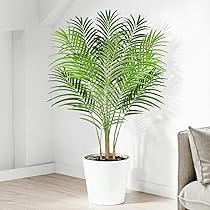 Dremisland Planta De Palma De Areca Artificial Grandes De Maceta 160cm Palmera Falsa Con 15 Grandes Planta Artificial Interior Y Exterior Decorativa Para El Hogar Oficina Jardín Regalo De Inauguración