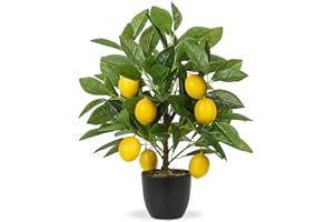Hollyone 40CM Artificial Lemon Plant in Pot, Fake Potted Lemon Plant Decorative Faux Plants, Small Faux Lemon Tree for Bedroom, Living Room, Bathroom, Desk, Table, Kitchen, Home Decor