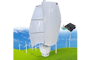 FABLESTORYEM 12000W Kit Generatore di Turbina Eolica, 12V/24V/48V 2 Pale Turbina Eolica Verticale con Albero a Levitazione Magnetica Elicoidale con Regolatore MPPT, Adatto per Uso Domestico in Fabbrica,E-48V