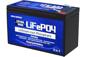 ECO-WORTHY Batteria al Litio LiFePO4 12V 8Ah Ferro Fosfato Ricaricabile con Oltre 3000 Volte Deep Cycle e Protezione BMS per Kit Pannello Solare,barca, Scooter,Trolling Motor, Famiglia
