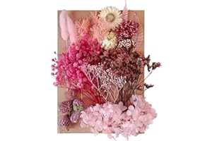 HILEYU Suszone kwiaty liście prasowane suszone kwiaty mieszane wiele naturalnych dekoracyjnych sztucznych kwiatów suszone kwiaty do rękodzieła żywica ciasta DIY biżuteria zdobienia paznokci albumy do