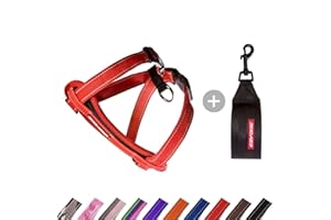 EzyDog Adjustable Chest Plate Harness - Small, Medium, XL, & Large Dogs - Step-In, No Pull, Comfort Soft-Touch, Reflective, Durable - for Active Pets