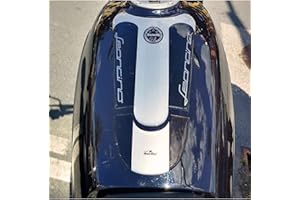 Resin Bike Adesivi Moto Compatibile con Benelli Leoncino 500 2017-2020 e Trail 500. Protezione Paraserbatoio da Urti e Graffi. Adesivo 3D Resinato per Serbatoio Moto - Argento