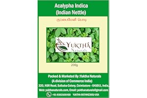 Yuktha Green Natural Harita Manjari Kuppaimeni/Acalypha Indica Powder/Indian Nettle - 200g