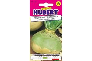 GRAINES HUBERT SEMENCES & ENGRAIS MAIROL Graines de Chou Navet Rutabaga Jaune à collet vert - 5 grammes