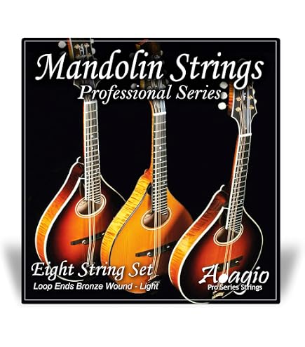 thumbnail image 2 of 10-Pack Mandolin E Strings - Nickel Plated Steel Loop End 1st E 0.010 Gauge Replacement Strings 2 of 13