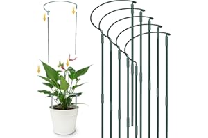 YeahBoom 5 Pièces 25x60cm Tuteurs pour Plantes,Piquets Verts Demi-Ronds Support,Soutien pour Plantes de Jardin,Support de Plantes de Jardin Demi-Rond,pour Hortensias, Pivoines, Plantes Vivace, Légume