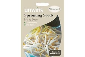 Unwins Pictorial Packet - Sprouting Seeds Mung Bean - 600 Seeds