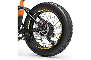 DualColorStampe Adesivi Cerchi Bici FAT BIKE 20'' Pollici Ruota Bici accessori Fat bike MTB Stickers Cerchi BANDIERA ITALIANA COD. B0128 (ORO 91)