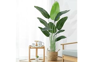 ‎KEEPLUSH Keeplush Künstliche Paradiesvogel Pflanze groß 150cm künstliche Tropische Palme mit 10 Blättern perfekte künstliche Pflanzen im Topf für drinnen und draußen Haus Büro Garten Moderne Dekoration（1 Pack）
