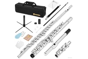 Vangoa Closed Hole C Flauta niquelada con estuche rígido, soporte, varillas de limpieza, guantes y kit de limpieza