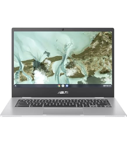 ASUS Chromebook Detachable CZ1 CZ1000DVA-L30031 - With detachable