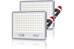 YIQIBRO Projecteur Exterieur LED Projecteur LED 100W 10000LM - Spot Exterieur LED Projecteur LED Exterieur IP67 Etanche ,7000K Blanc Froid Projecteurs LED Extérieur pour Jardin Terrasse Patio (2 Pièces )
