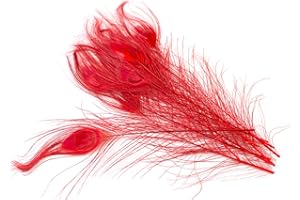 ‎CREATIVERY 10 echte Pfauenfedern ca. 25-30cm (rot 250) // Pfau Federn Natur Auge Deko Pfauenaugen Schmuck