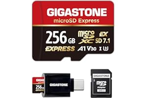 【Progettato per Switch 2】GIGASTONE microSDXC Express 256 GB, R/W fino a 880/650MB/s, compatibile con Nintendo Switch 2, fotocamera professionale, A1 V30 U3, con adattatore e lettore di schede USB-C