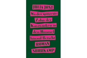 Wo der spitzeste Zahn der Karawanken in den Himmel hinauf fletscht: Roman | Eine Coming-of-Age-Geschichte voller Drive und Witz | Nominiert für den Österreichischen Buchpreis 2024