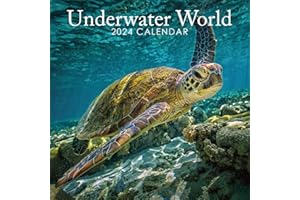 ROCHLI 2024 Under the Sea 12" x 12" Square Hanging Wall Calendar - No Plastic - Planner, Organiser, Home, Family, Aquatic, Ocean, Schedule, Agenda, Gift