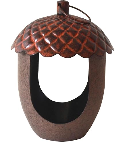 Mangeoire Oiseaux Sauvages Mangeoire Oiseaux En Forme De Donut Oakdale | Distributeur Boules De Graisse Décoration Jardin