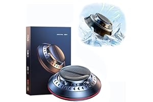 AFGQIANG Bikenda Electromagnetic Molecular Interference Antifreeze Snow Removal Instrument,Vehicle Microwave Molecular Deicing Instrument,Car Diffusers for Essential Oils for Car and Home Office- (Black)