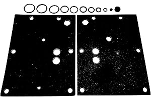 LPG-MEGASTORE BRC Genius Max GPL LPG - Kit di riparazione per evaporatore