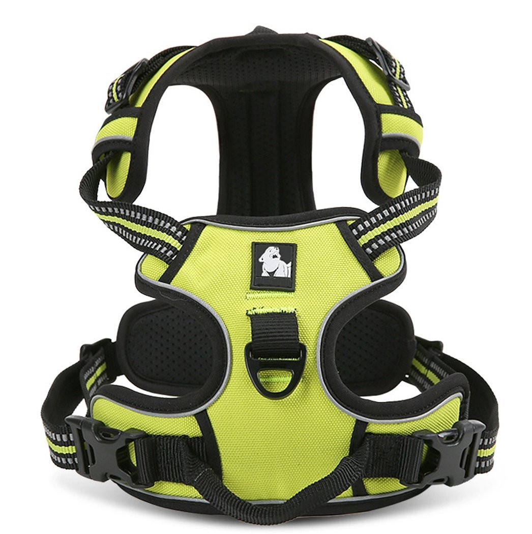kismaple dog harness