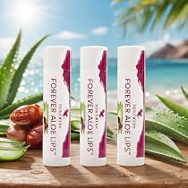 aloe vera pflanze angebot Aloe vera | Sukkulente