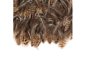 TSLBW 200 Pezzi Piume di Fagiano Naturali DIY Piume di Artigianato Piume Decorative Naturali Marrone Piume di pollo naturali 5-10cm Mini piume di fagiano per Cacciatore di Sogni Orecchini Festa Decor (A)
