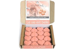 SPOTLESS LEOPARD Cera para derretir Le Vie Est Belle: 16 x 5 g para derretir en forma de corazón inspirada en el perfume La Vie Est Belle, una caja de regalo de presentación