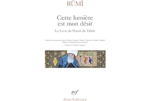 Cette lumière est mon désir: Le Livre de Shams de Tabrîz