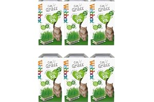 HowseHold Cat Grass Kit for Indoor Cats [6 PACK] Webbox Cat Grass Complete Easy Grow Kit with Seeds, Kitty Grass, Grass Planter, House Plant Alternative Tote Bag