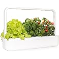 Cultivea Kit Herbes Aromatiques Bio – Basilic, Persil, Ciboulette – Prêt à Pousser Intérieur, Graines Françaises 100% Bio, Idée Cadeau Jardinage